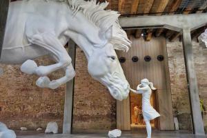 Claudia Fontes - The Horse Problem